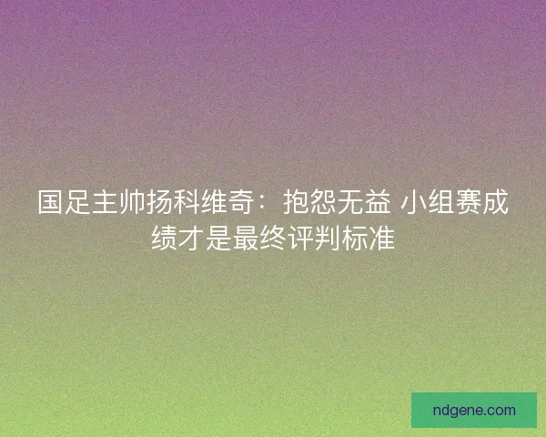 国足主帅扬科维奇：抱怨无益 小组赛成绩才是最终评判标准