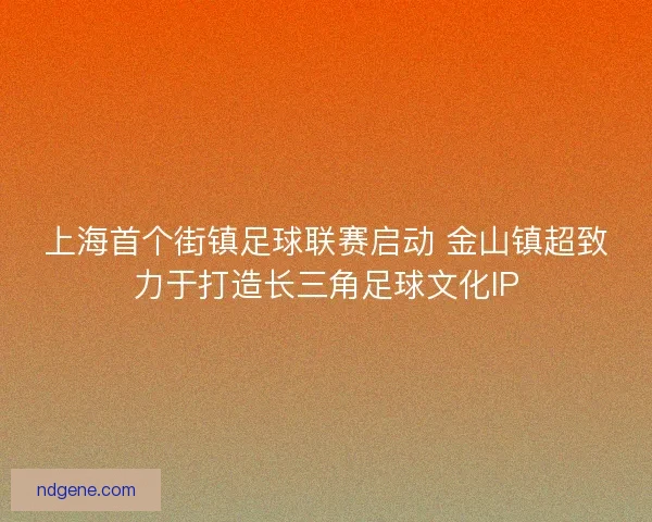 上海首个街镇足球联赛启动 金山镇超致力于打造长三角足球文化IP